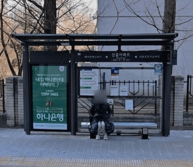 진흥아파트 [22165]