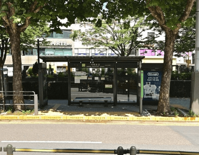 서래초교 [22457]