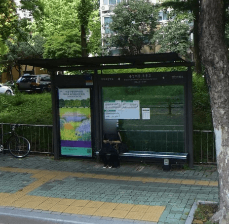 양천구민체육센터.양천일자리센터 [15195]